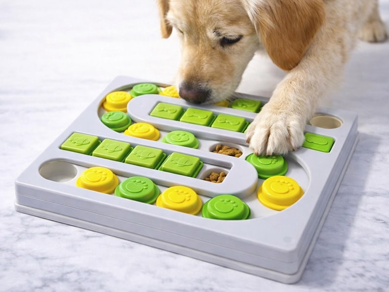 Pu&ograve; includere: Un giocattolo puzzle grigio per cani con pezzi scorrevoli gialli e verdi. Il giocattolo ha vari scomparti e coperchi scorrevoli. Un golden retriever interagisce con il giocattolo, usando la zampa e il naso per esplorare il puzzle.