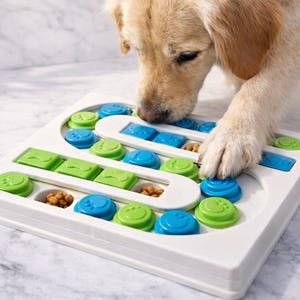 Pu&ograve; includere: Un giocattolo puzzle bianco per cani con pezzi scorrevoli blu e verdi. Il giocattolo ha vari scomparti contenenti cibo per cani. Un golden retriever interagisce con il puzzle, usando la zampa per spostare i pezzi.