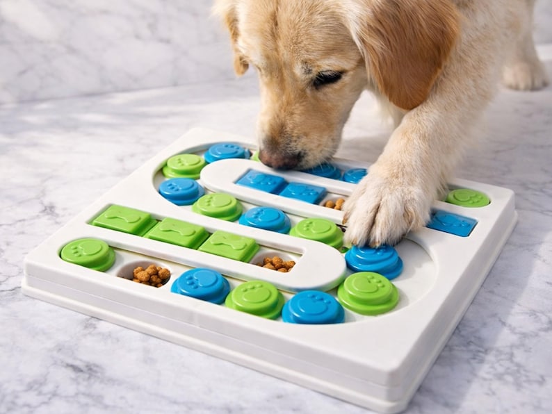Pu&ograve; includere: Un giocattolo puzzle bianco per cani con pezzi scorrevoli blu e verdi. Il giocattolo ha vari scomparti contenenti cibo per cani. Un golden retriever interagisce con il puzzle, usando la zampa per spostare i pezzi.