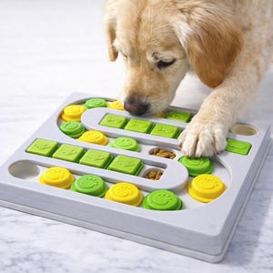 Pu&ograve; includere: Un cane interagisce con un giocattolo puzzle grigio. Il giocattolo ha pezzi scorrevoli verdi e gialli e scomparti circolari. La zampa del cane &egrave; sul giocattolo e il cane guarda il giocattolo.