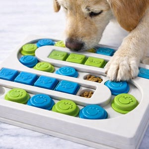 Pu&ograve; includere: Un giocattolo puzzle bianco per cani con pezzi scorrevoli blu e verdi. Il giocattolo ha vari scomparti contenenti cibo per cani. Un Labrador dorato interagisce con il puzzle, usando la zampa per spostare i pezzi.