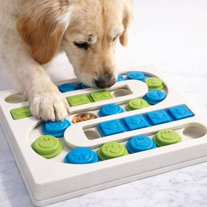 Pu&ograve; includere: Un giocattolo puzzle bianco per cani con pezzi scorrevoli blu e verdi. Il cane interagisce con il giocattolo, usando la zampa per spostare i pezzi. Il giocattolo ha vari scomparti per le leccornie, progettati per stimolare e intrattenere i cani.