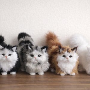 Puede incluir: Cinco figuras de gatitos de peluche en fila, cada una con un patrón de color único. Los gatitos tienen pelaje blanco en la cara y el pecho, con variaciones de pelaje negro, gris y marrón en el cuerpo y la cola. Están sobre una superficie de madera.