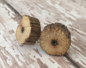Rustic Tree Branch Stud Earrings: Natural Wood, Surgical Steel