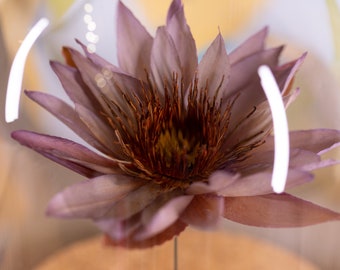 1991 Water Lily | Purple Tropical WaterLily | Perfectly preserved Dried Floral Art |