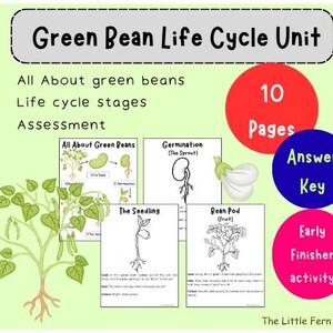 May include: A green educational unit titled "Green Bean Life Cycle Unit" with illustrations of bean plants and life cycle stages. Includes the text "All About green beans", "Life cycle stages", and "Assessment". Features a red circle with "10 Pages".