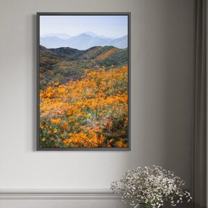 Super Bloom No. 6 – Fine Art Print | Multiple Exposure Photography | California Poppies