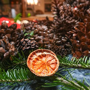 Op de afbeelding: Een close-up van een feestelijk arrangement met een gedroogde sinaasappelschijf, dennennaalden en talrijke bruine dennenappels. De sinaasappelschijf is het middelpunt, met een feloranje binnenkant. Natuurlijk, seizoensgebonden thema.