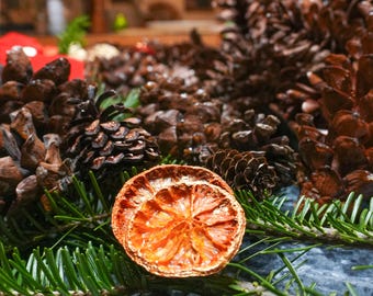 May include: A seasonal arrangement featuring a dried orange slice, pine needles, and several brown pine cones. The orange slice is central, displaying a bright orange interior. The scene suggests a natural, festive theme, perfect for the holidays.