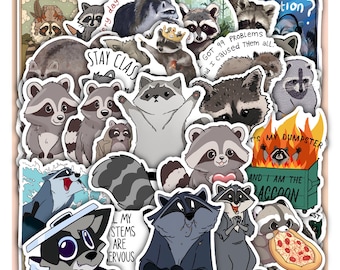 Clearance Sticker Sheet Raccoon  -Vinyl Decal 40 Pieces