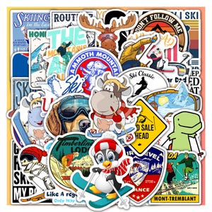 Vintage Sticker Aufkleber Adesivo Colmar Ski Sport Outdoor 80er Jahre 80s