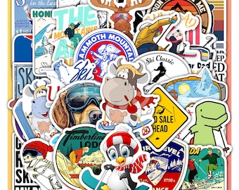 Classic Ski Sticker Sheet- Vinyl Decals 40 Piece