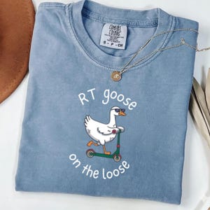 May include: A light blue Comfort Colors t-shirt featuring a cartoon goose wearing sunglasses and riding a green scooter. The text "RT goose on the loose" is printed below the goose. A gold necklace and a brown hat are also visible.
