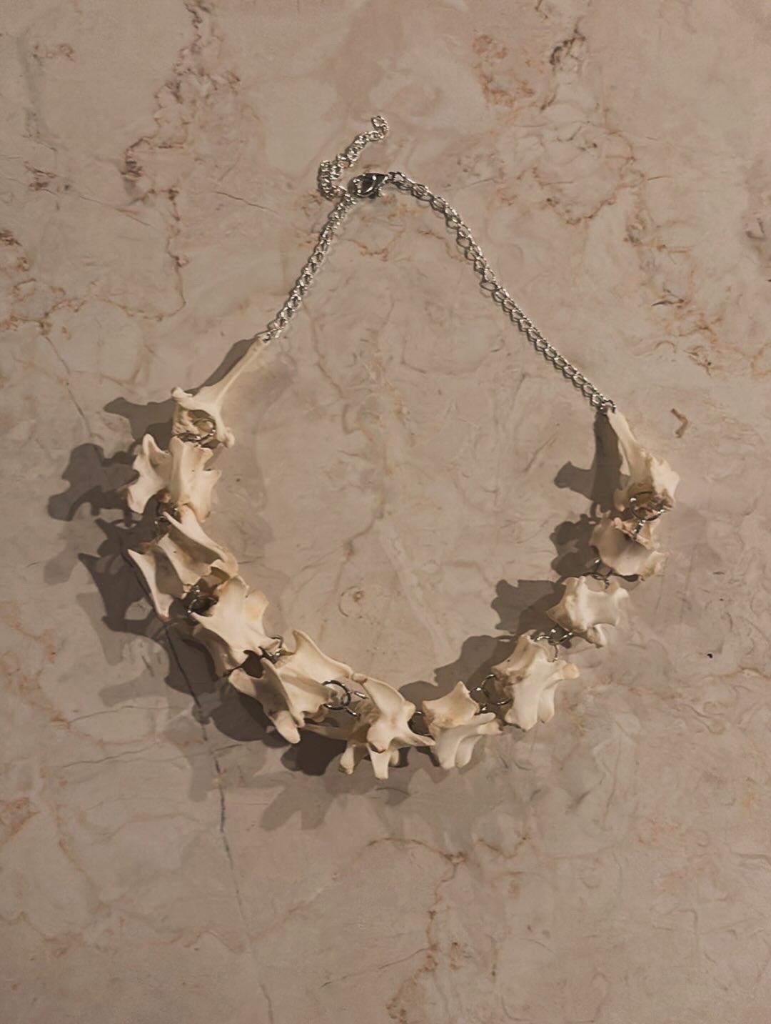 Fox Vertebrae Necklace - Etsy