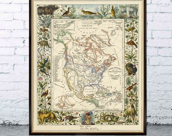 North America map - Old map restored   - America, reproduction of a illustrated vintage map