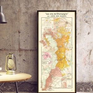 Wine map of the Cote des Blancs - Les vins des Champagne - Vineyards map in France