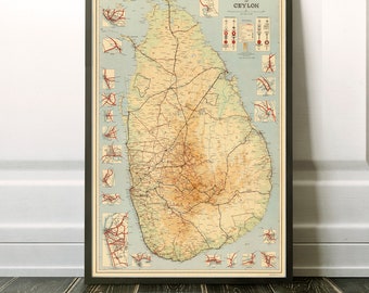 Vintage map of Sri Lanka, Ceylon large map, detailed map, wall decor