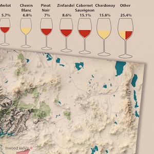 Carte des régions viticoles de Californie, régions viticoles américaines, carte détaillée, montrant toutes les régions viticoles de Californie, superbe décoration de bar/cave image 7