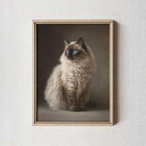 Op de afbeelding: Een ingelijste print van een Ragdoll-kat met opvallende blauwe ogen en een pluizige, lichtbruine en crèmekleurige vacht. De kat zit en kijkt opzij. De lijst is lichtbeige.