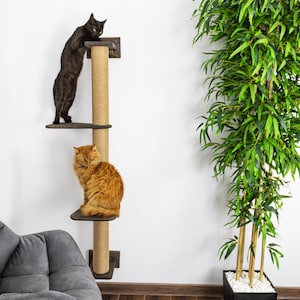 May include: A cat tree with two platforms and a central scratching post. A black cat is on the top platform, and an orange cat is on the lower platform. The cat tree is made of wood and rope. A tall green plant is to the right.
