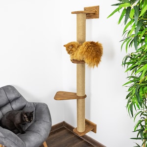 May include: A wooden cat tree with platforms and a sisal rope scratching post. An ginger cat is resting on the top platform. A black cat sits in a grey armchair. The cat tree is against a white wall with a green plant.