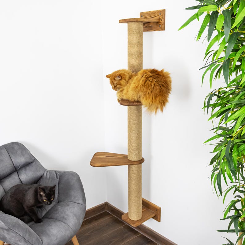 May include: A wooden cat tree with platforms and a sisal rope scratching post. An ginger cat is resting on the top platform. A black cat sits in a grey armchair. The cat tree is against a white wall with a green plant.
