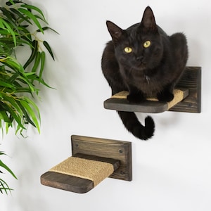 May include: A black cat sits on a wooden cat shelf with a sisal rope scratching surface. The shelf is mounted on a white wall. A second, similar shelf is mounted below. Green foliage is visible on the left.