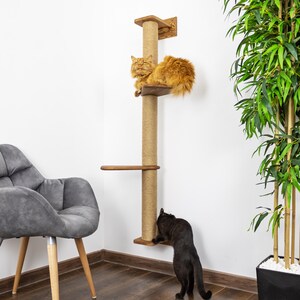 May include: A tall cat tree with two platforms and a scratching post. An ginger cat rests on the top platform, while a black cat interacts with the scratching post below. The tree is made of wood and rope.