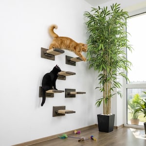 May include: A wall-mounted cat climbing shelf set with a dark wood finish and natural rope pads. An orange tabby cat jumps between shelves, while a black cat sits on one. A tall green plant is in the background.