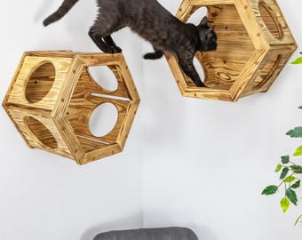 Hexagon Cat Wall Shelves - Set of 2 Wooden Beds