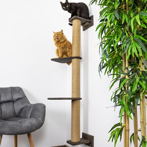 May include: A cat tree with three dark wooden platforms and a central scratching post wrapped in rope. An orange cat and a black cat are sitting on the platforms. The tree is mounted on a white wall, with a green plant in the background.
