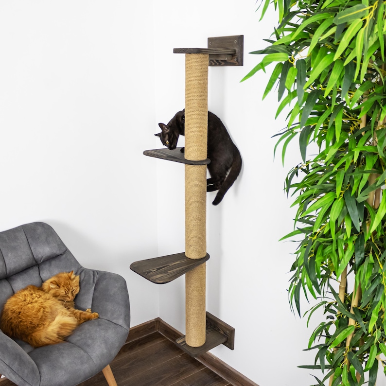 May include: A cat tree with a sisal-wrapped post and three wooden platforms. A black cat is climbing the tree, while an orange cat rests in a grey armchair. The cat tree is mounted on a white wall.
