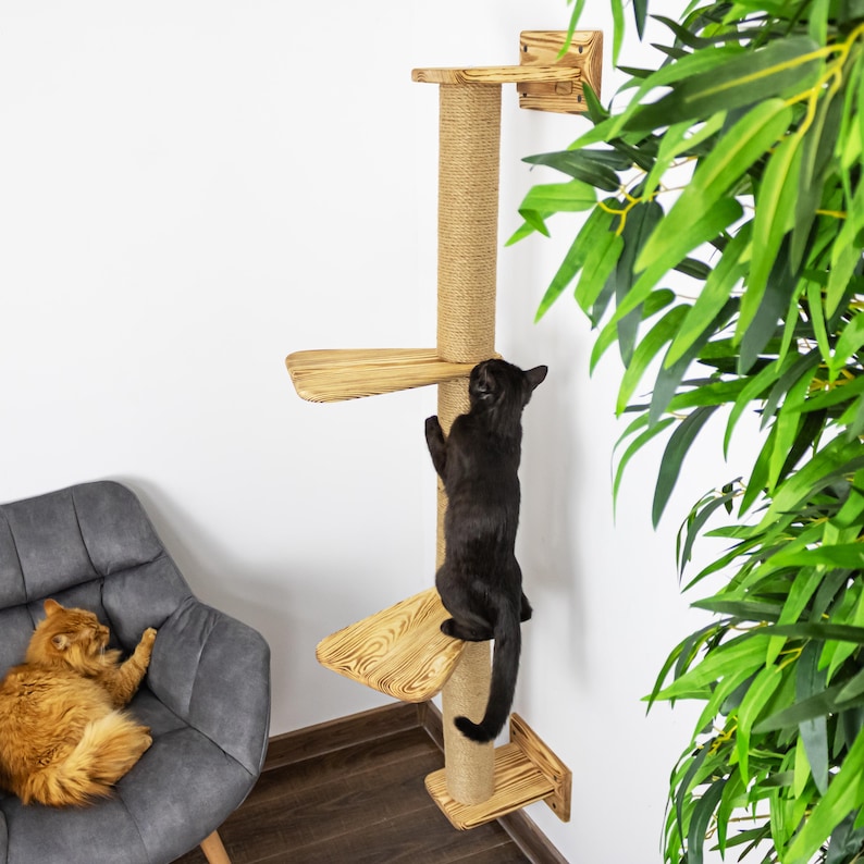 May include: A wooden cat tree with multiple platforms and a scratching post wrapped in natural rope. A black cat climbs the tree, while an orange cat relaxes in a nearby grey armchair. Green foliage is visible in the background.