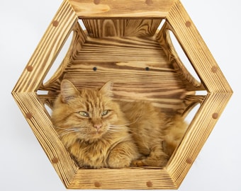 Wooden Hexagon Cat Shelf – Wall Mounted Cat Bed
