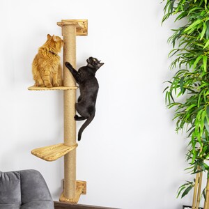 May include: A cat tree with two cats. An orange cat sits on a wooden platform, while a black cat climbs the sisal-wrapped post. The cat tree has multiple platforms and is mounted on a wall.
