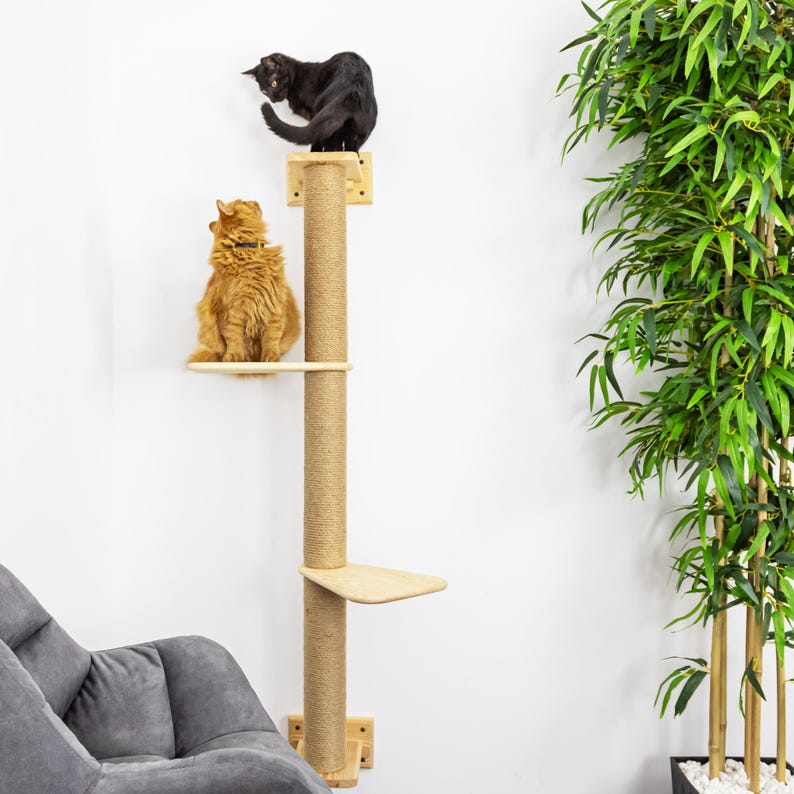 May include: A cat tree with three platforms and a scratching post. An orange cat sits on the middle platform, while a black cat perches on the top platform. The tree is made of wood and rope, with a tall, vertical design.