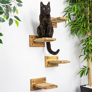 May include: A black cat sits on a wooden cat climbing shelf set against a white wall. The shelves are made of wood with a natural finish and are wrapped with rope. Green plants are visible in the background.