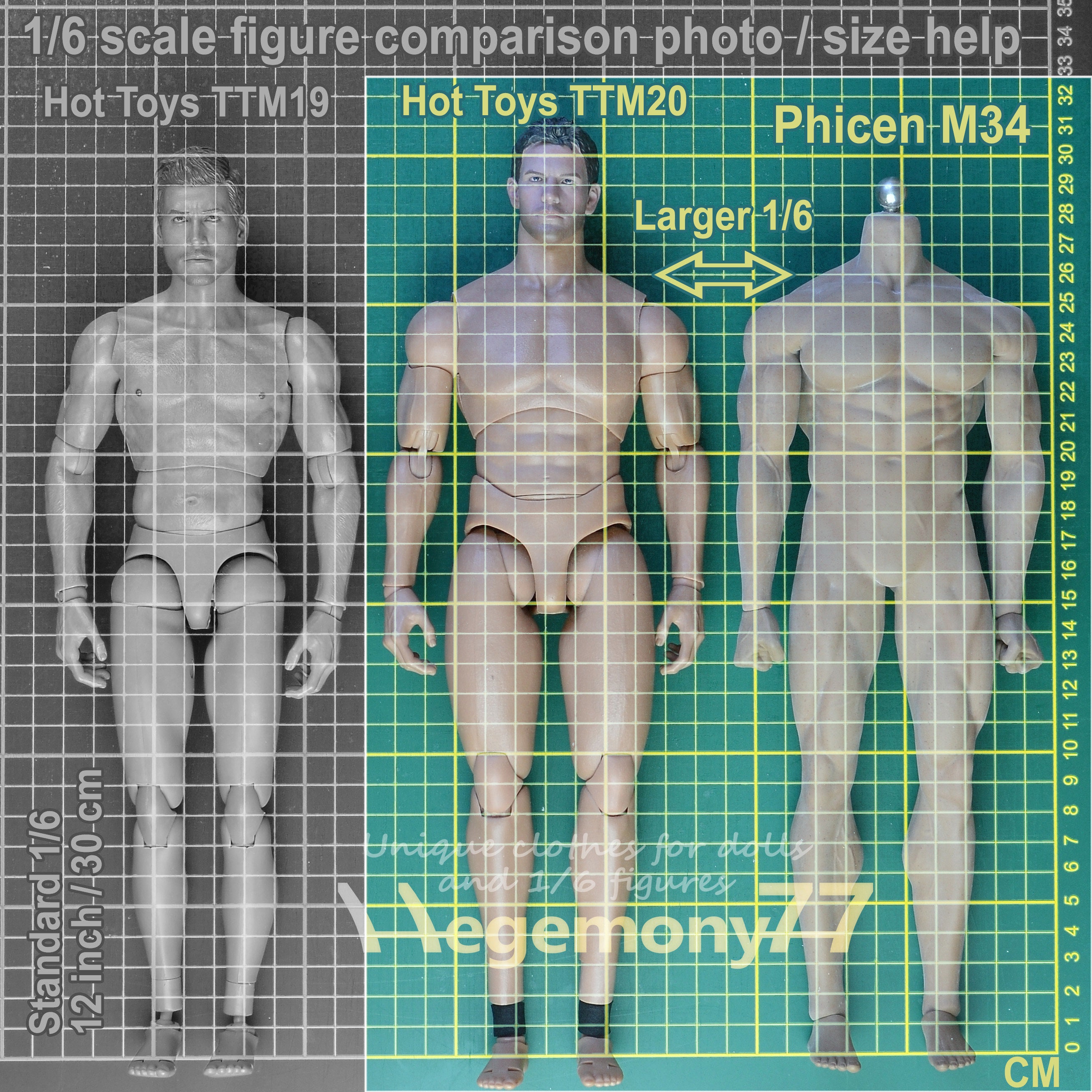 male body comparison chart