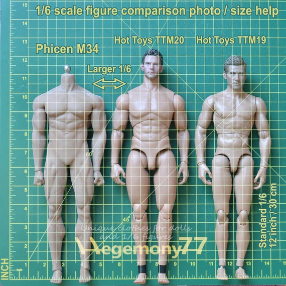 WorldBox 1/6 Scale Male Action Figure Body for 12 inch Hot Toys Phicen  TBLeague