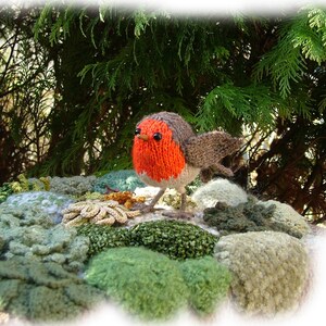 Könnte beinhalten: Ein gestricktes Rotkehlchen mit leuchtend orangefarbener Brust, grauen und braunen Flügeln und schwarzen Augen. Der Vogel sitzt auf einer strukturierten, grünen und beigen Stricklandschaft mit einem Hintergrund aus grünem Laub.