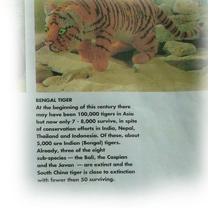 BENGAL TIGER knitting pattern by Georgina Manvell PDF download image 2