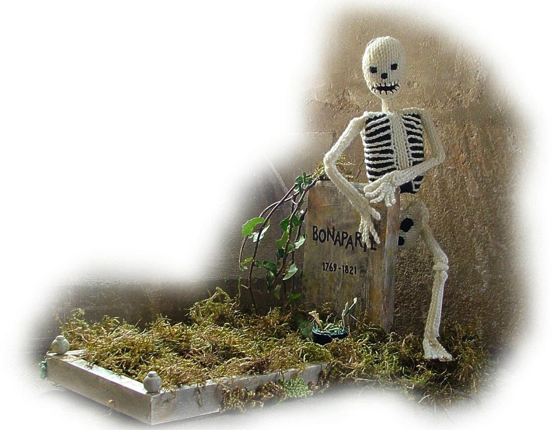 BONAPARTE SKELETON Plus Clothes Toy Knitting Pattern by Georgina ...
