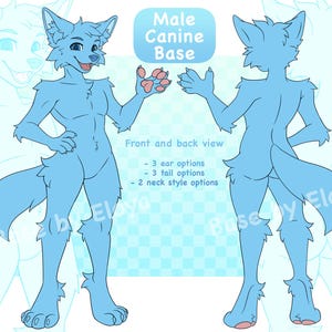 Puede incluir: Ilustración de una base canina azul claro, que muestra vistas frontal y posterior. La imagen incluye opciones para 3 estilos de orejas, 3 estilos de cola y 2 estilos de cuello. El texto "Male Canine Base" está en la parte superior.