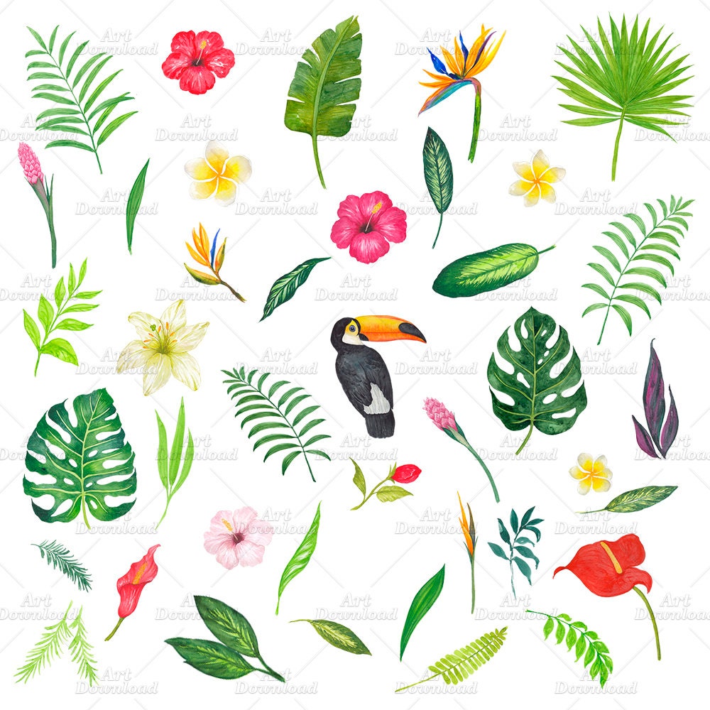 Watercolor Tropical Flowers Clipart Watercolor Flower Clip | Etsy