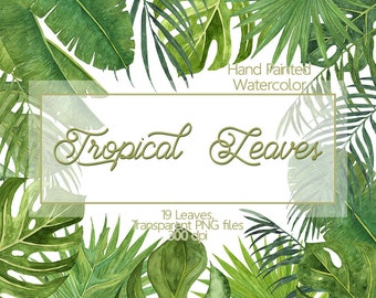 Tropical leaves - Watercolor leaves clip art, Monstera leaves, Banana Leaf, Palm Tree, Botanical Leaf, Hand painted leaves, Greenery, Leaf