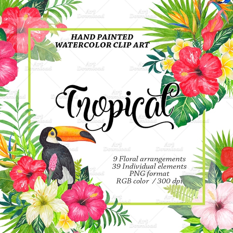 Download Summer Tropical Leaves Watercolor Tropical Flowers Clipart Flower And Leaf Hawaii Clipart Watercolor Flower Clip Art Hibiscus Flowers