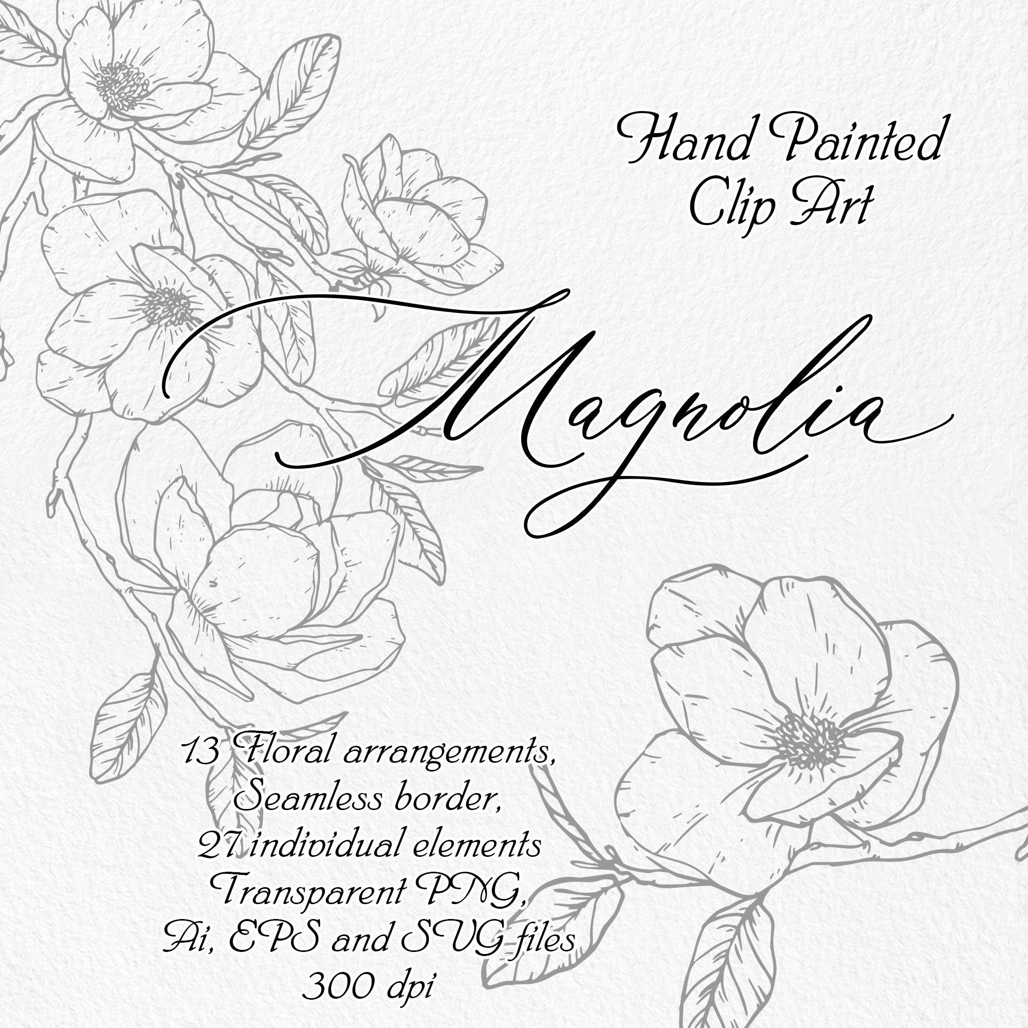 Magnolia - Outline Graphic Flowers, Line Art Flower, Outline Clipart, Wedding clip art, Hand Drawn Vector Flowers, Digital Floral Clipart