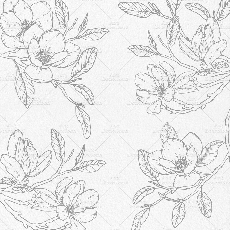 magnolia outline graphic flowers line art flower outline