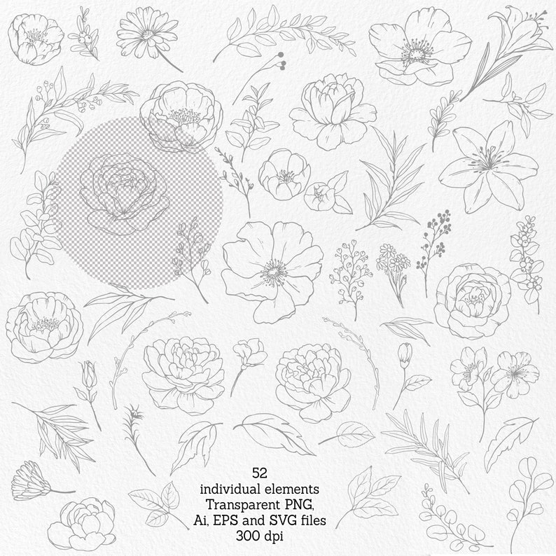 May include: A set of 52 black and white line drawings of flowers and foliage. The illustrations are simple and elegant, perfect for adding a touch of nature to any project.