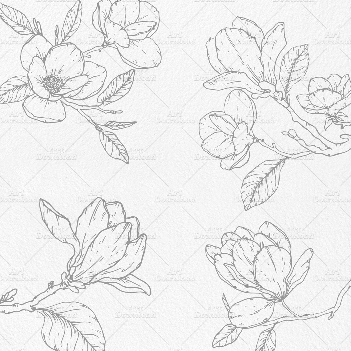 Magnolia Outline Graphic Flowers Line Art Flower Outline - Etsy